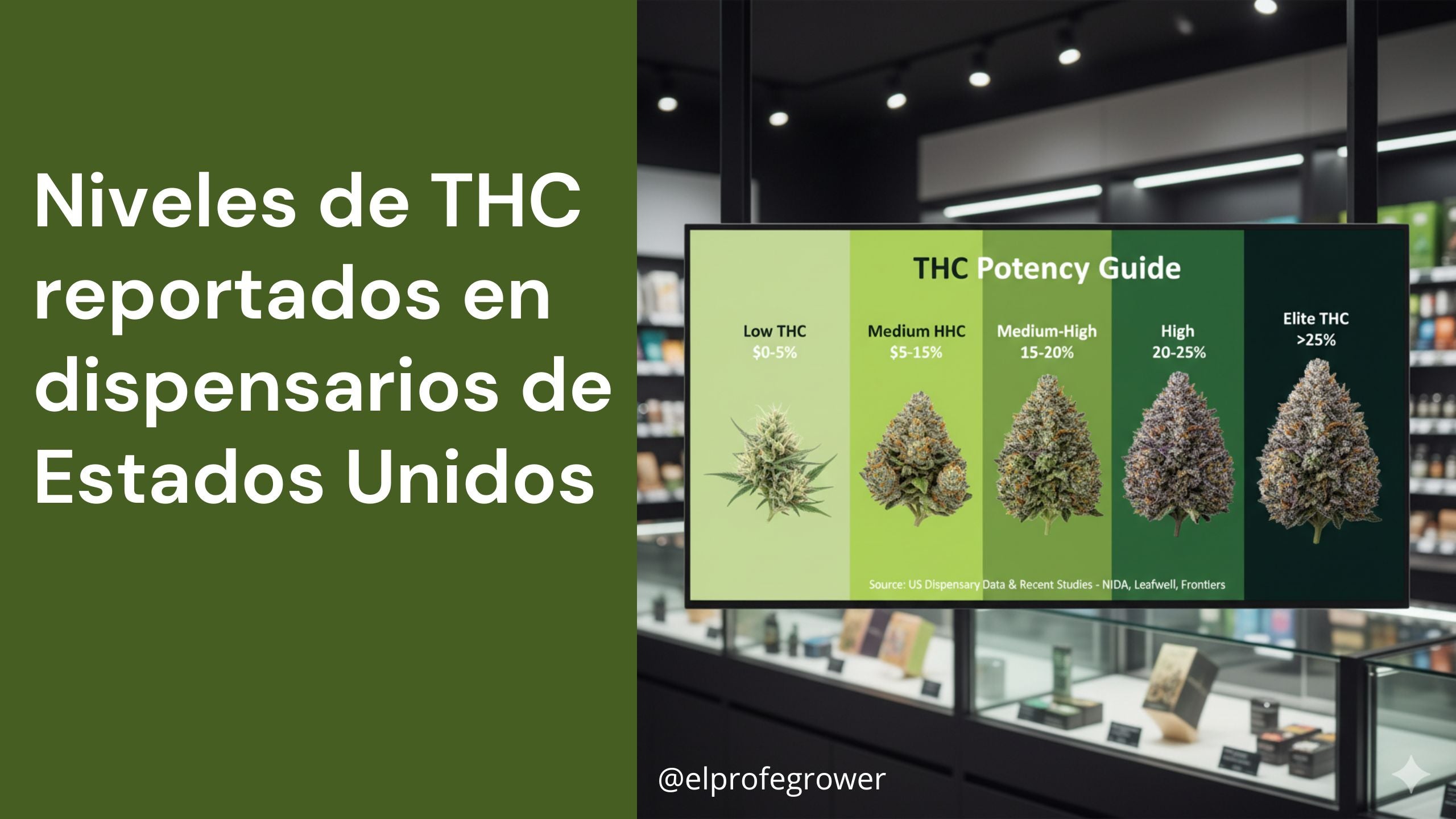 Niveles de THC reportados en dispensarios de Estados Unidos