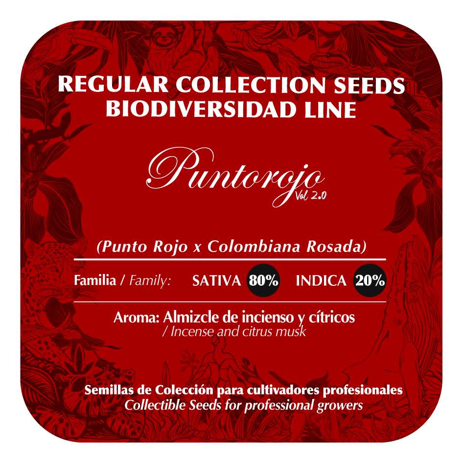 Punto rojo - Black Tuna - Pack x 10