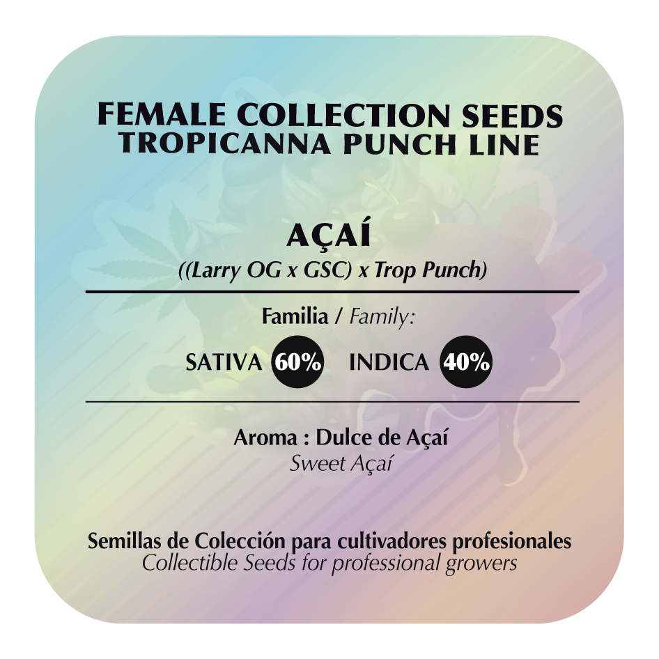 Acaí Feminizada - Black Tuna - Pack x 3