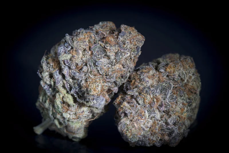 Gulupa - Paradise Seeds Pack x 3