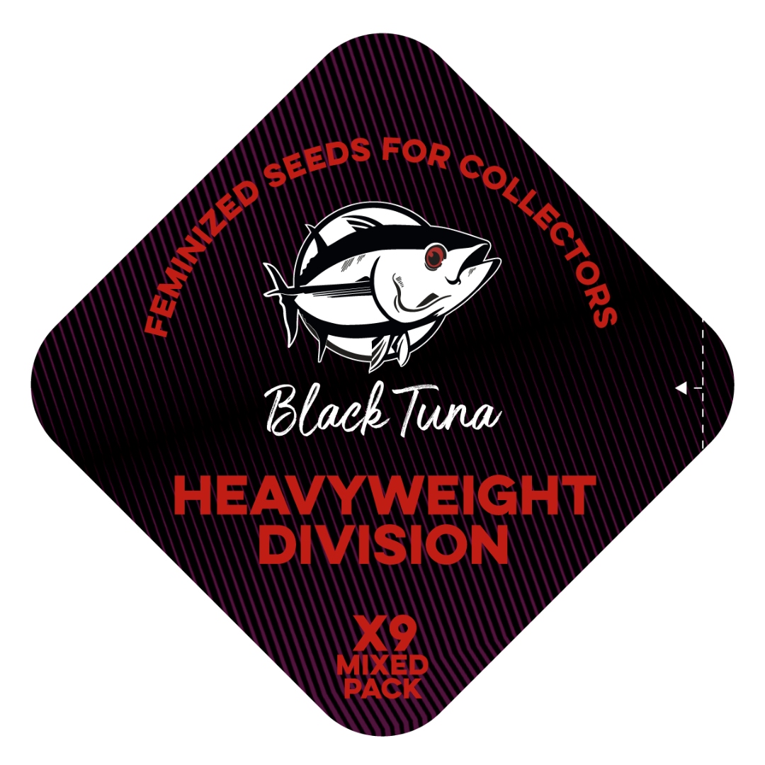 Popurrí: Heavyweight division - Black Tuna - Pack x 9