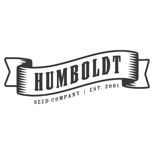 Emerald Fire Og Feminizada - Humboldt Seed Company - Pack x 3