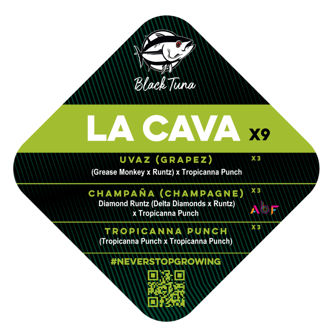 Popurrí: La Cava: Uvaz, Champaña y Tropicanna punch - Black Tuna - Pack x 9