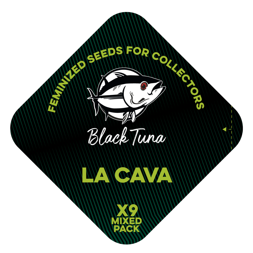 Popurrí: La Cava: Uvaz, Champaña y Tropicanna punch - Black Tuna - Pack x 9