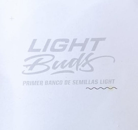 Lafanta Light CBD AUTO - BSF Seeds