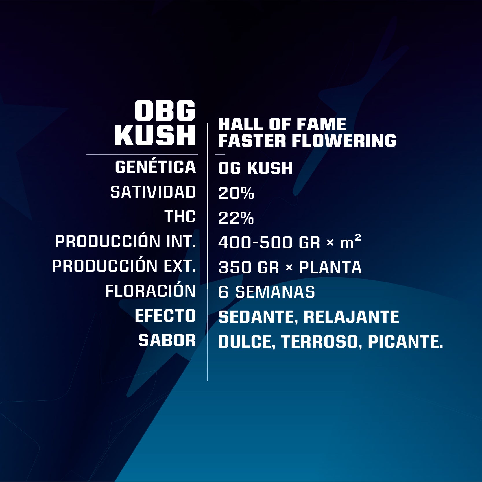OBG Kush Fast Feminizada BSF Seeds