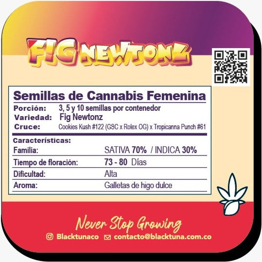 Fig Newtonz Feminizada - Black Tuna - Pack x 3