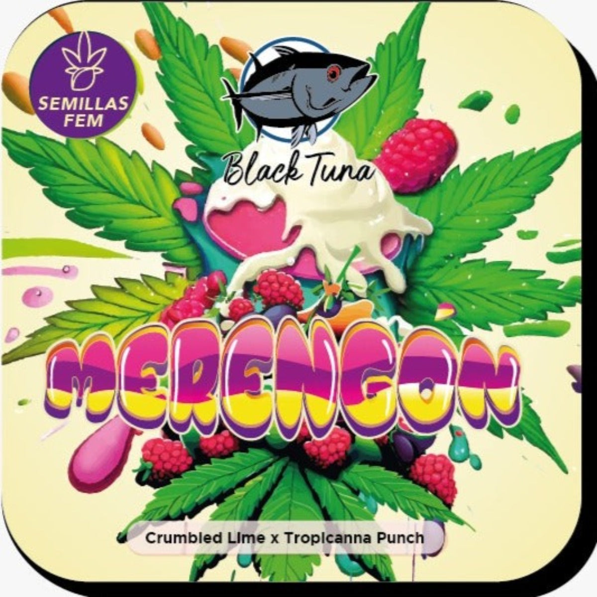 Merengón Feminizada - Black Tuna - Pack x 3