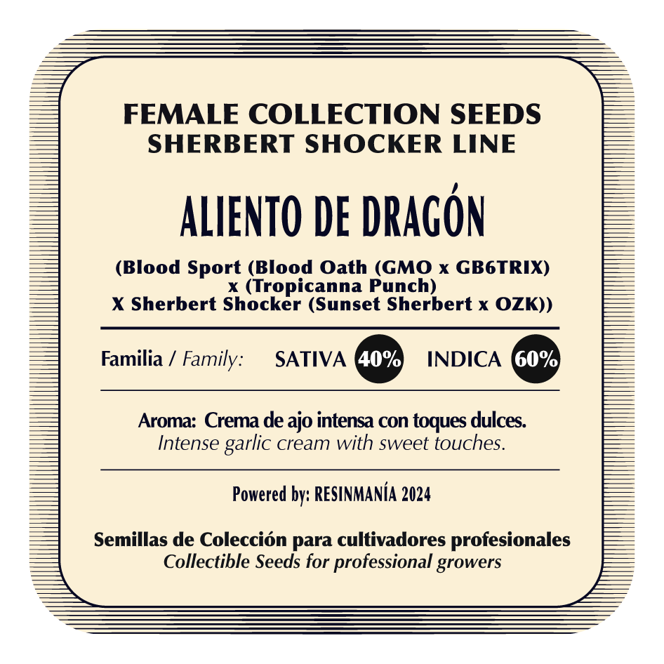 Aliento de Dragon - Black Tuna - Pack x 3