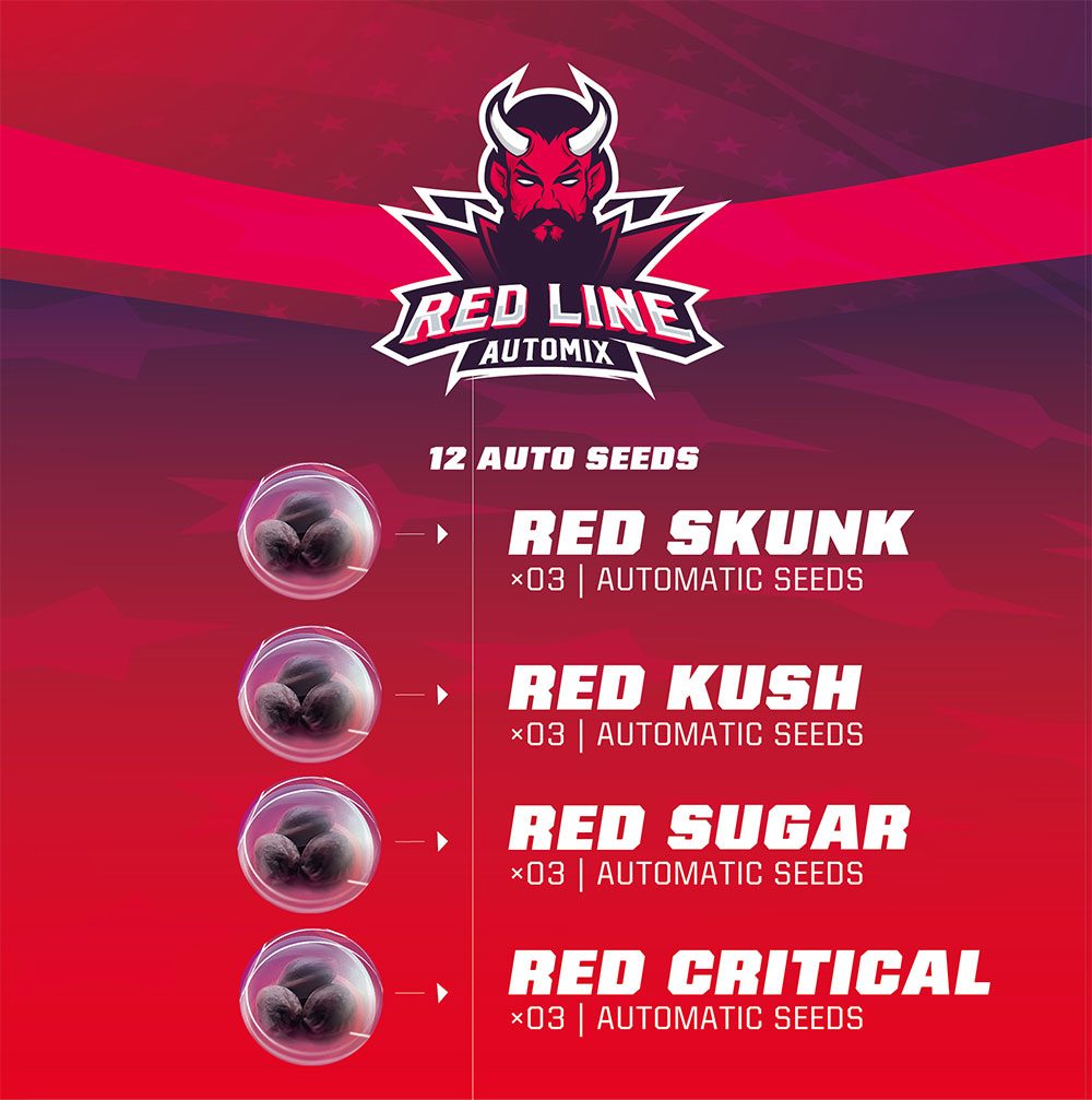 Red Line Automix - BSF Seeds