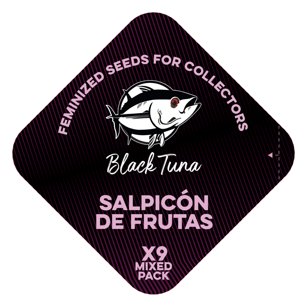 Popurrí: Salpicón de frutas - Black Tuna - Pack x 9