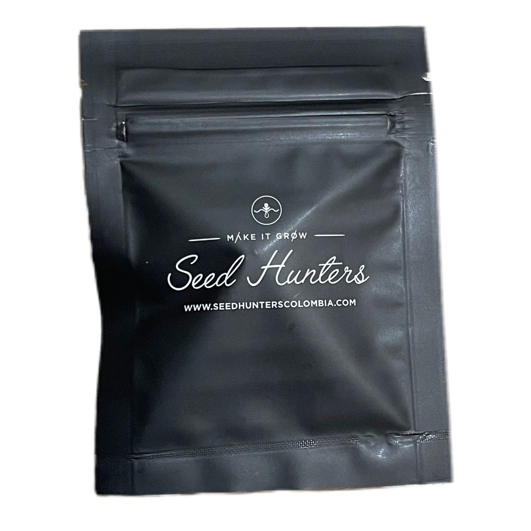 Berries & Berries - Seed Hunters - Pack x 2