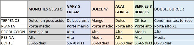 Acaí Gorilla - Seed Hunters - Pack x 2
