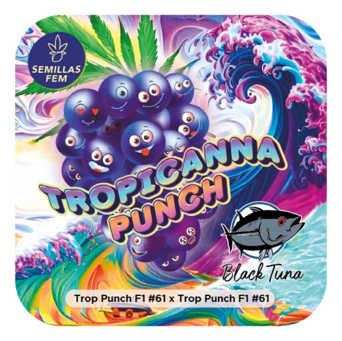 Tropicanna Punch #61 Feminizada - Black Tuna - Pack x 3