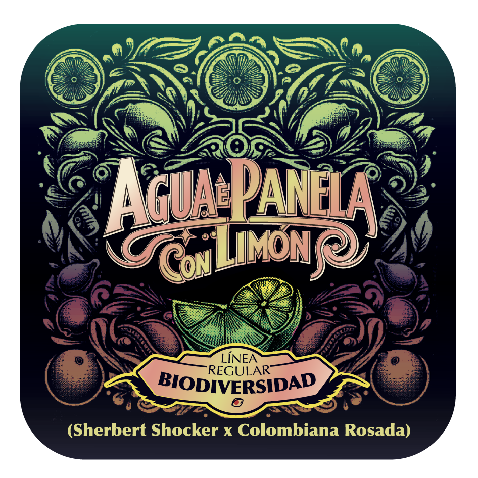 Agua e panela con limón - Black Tuna - Pack x 10