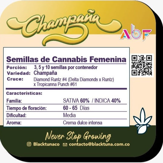 Champaña Feminizada - Black Tuna - Pack x 3