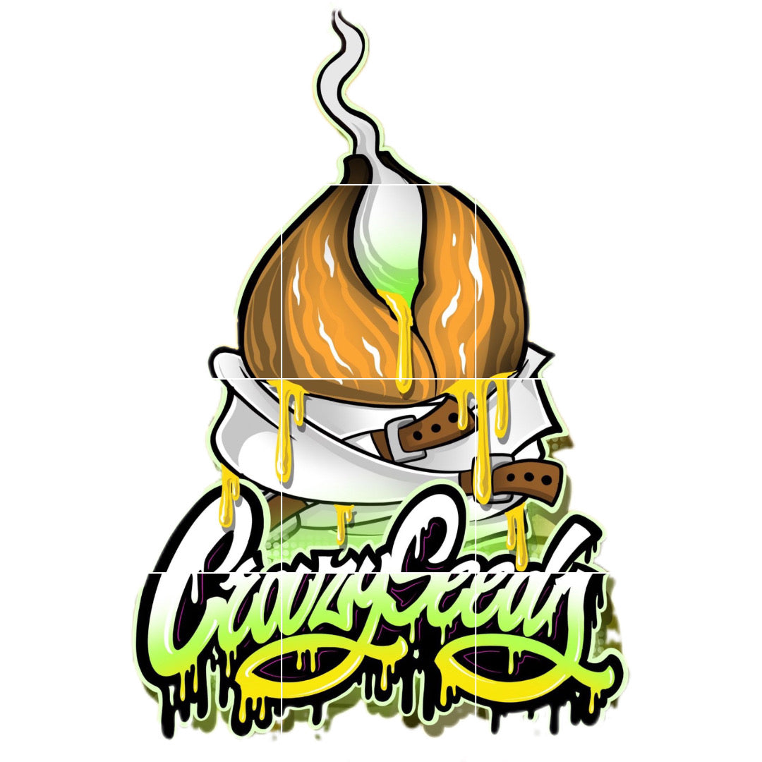 Amnesia x Purple Punch Edición limitada - Crazy Seeds - Pack x 3