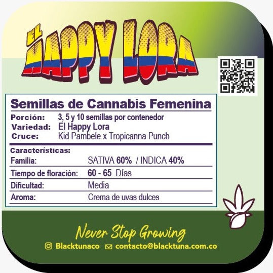 Happy Lora Feminizada - Black Tuna - Pack x 3