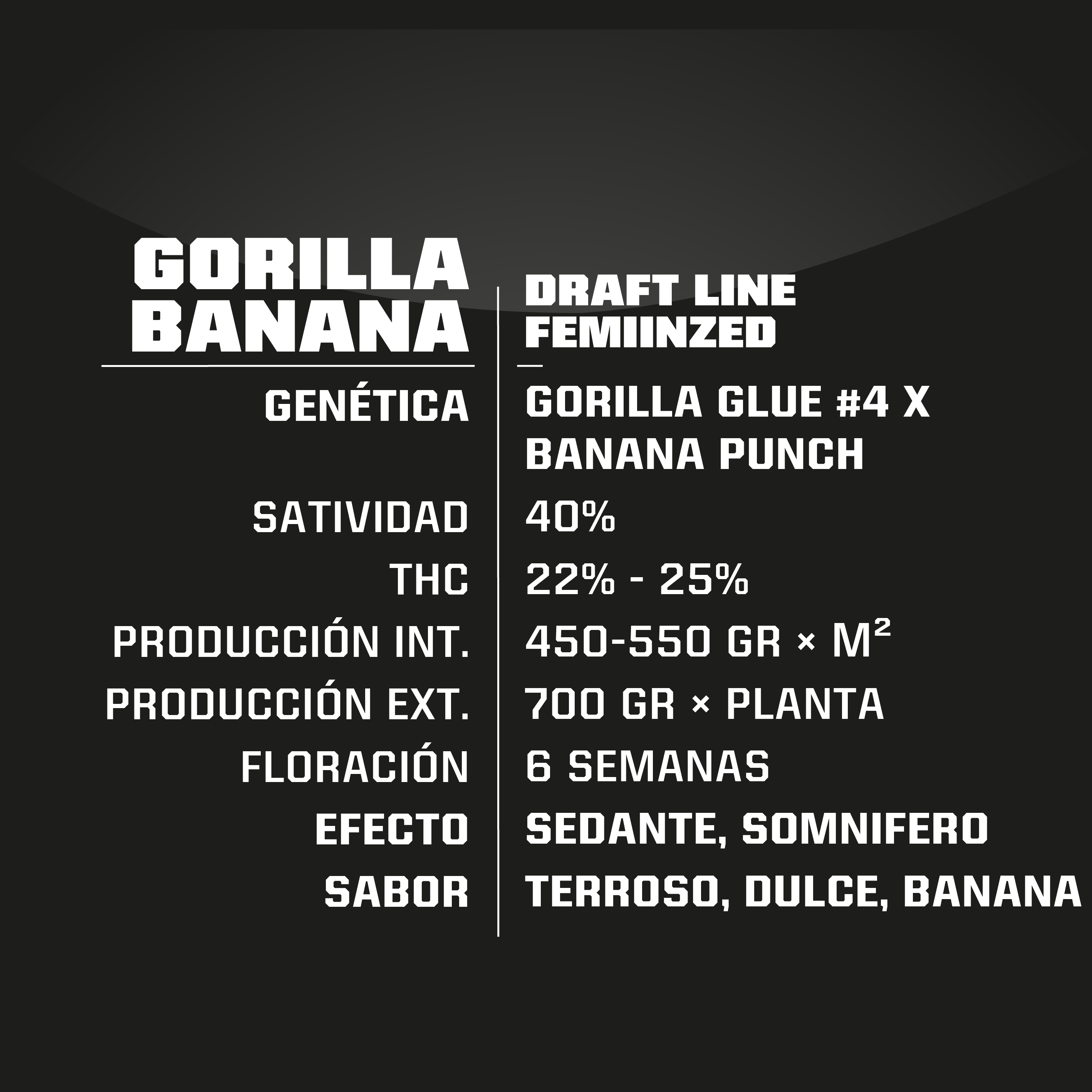Gorilla Banana Feminizada BSF Seeds