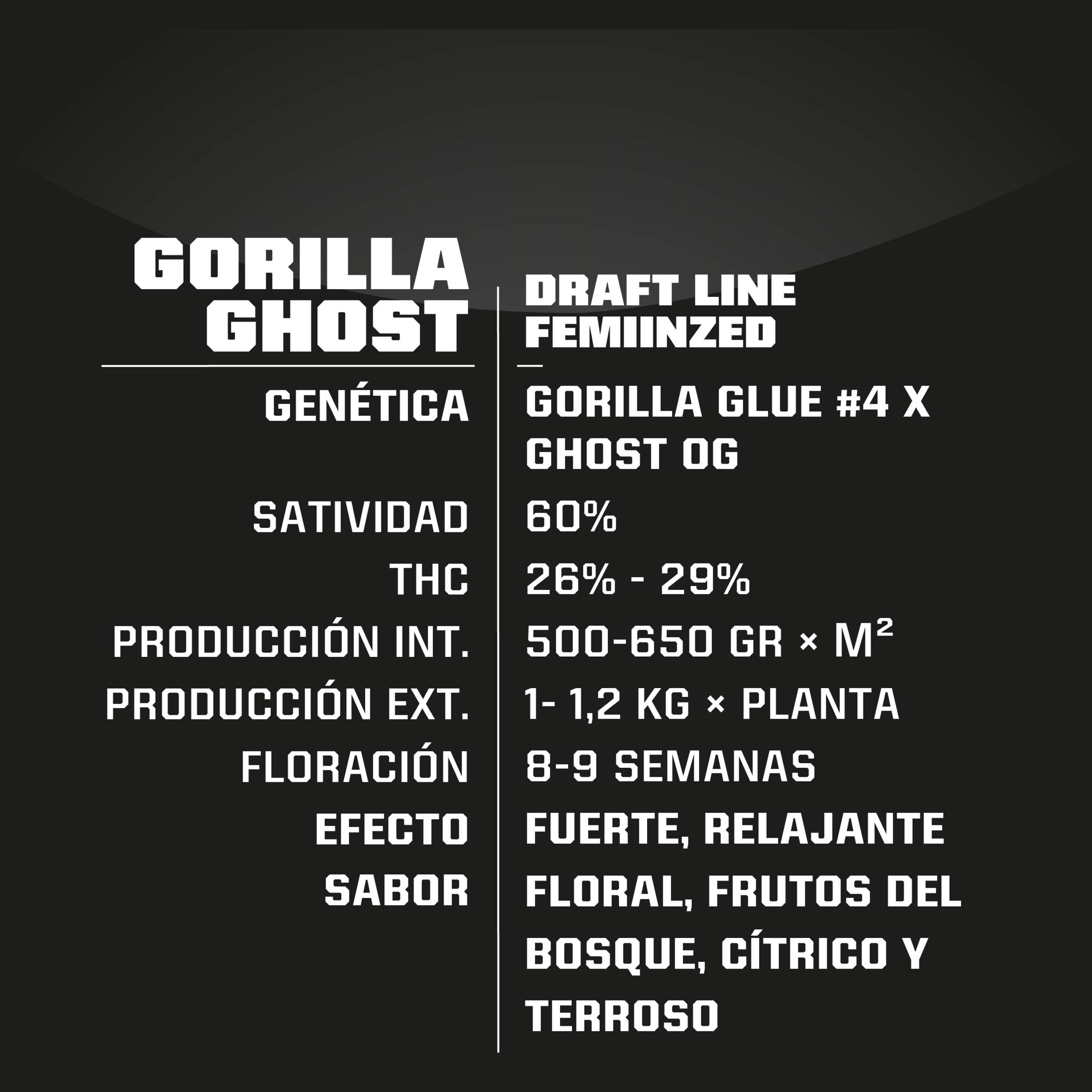 Gorilla Ghost Feminizada BSF Seeds