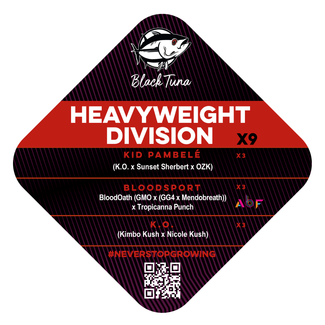 Popurrí: Heavyweight division - Black Tuna - Pack x 9