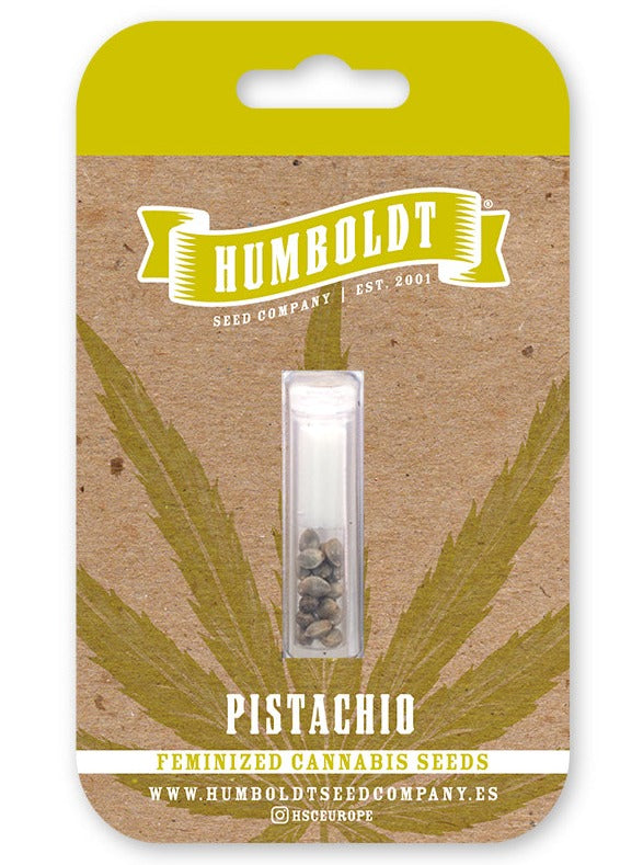 Pistachio Feminizada - Humboldt Seed Company - Pack x 3