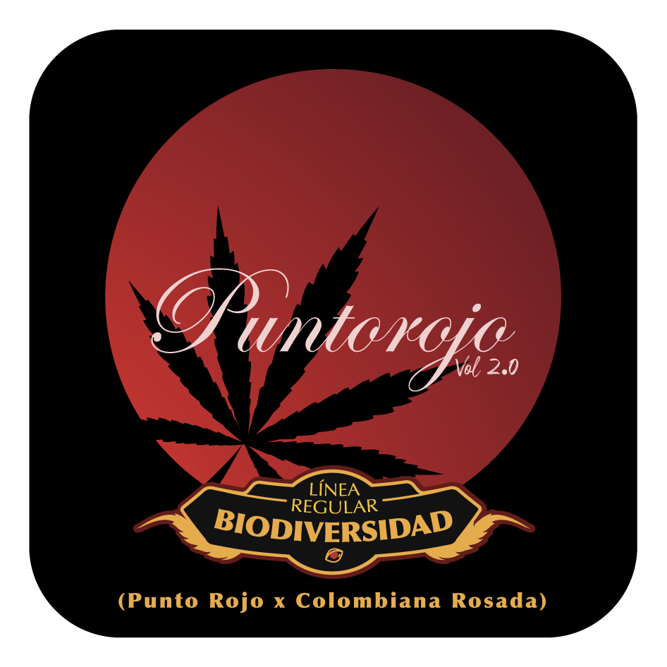 Punto rojo - Black Tuna - Pack x 10