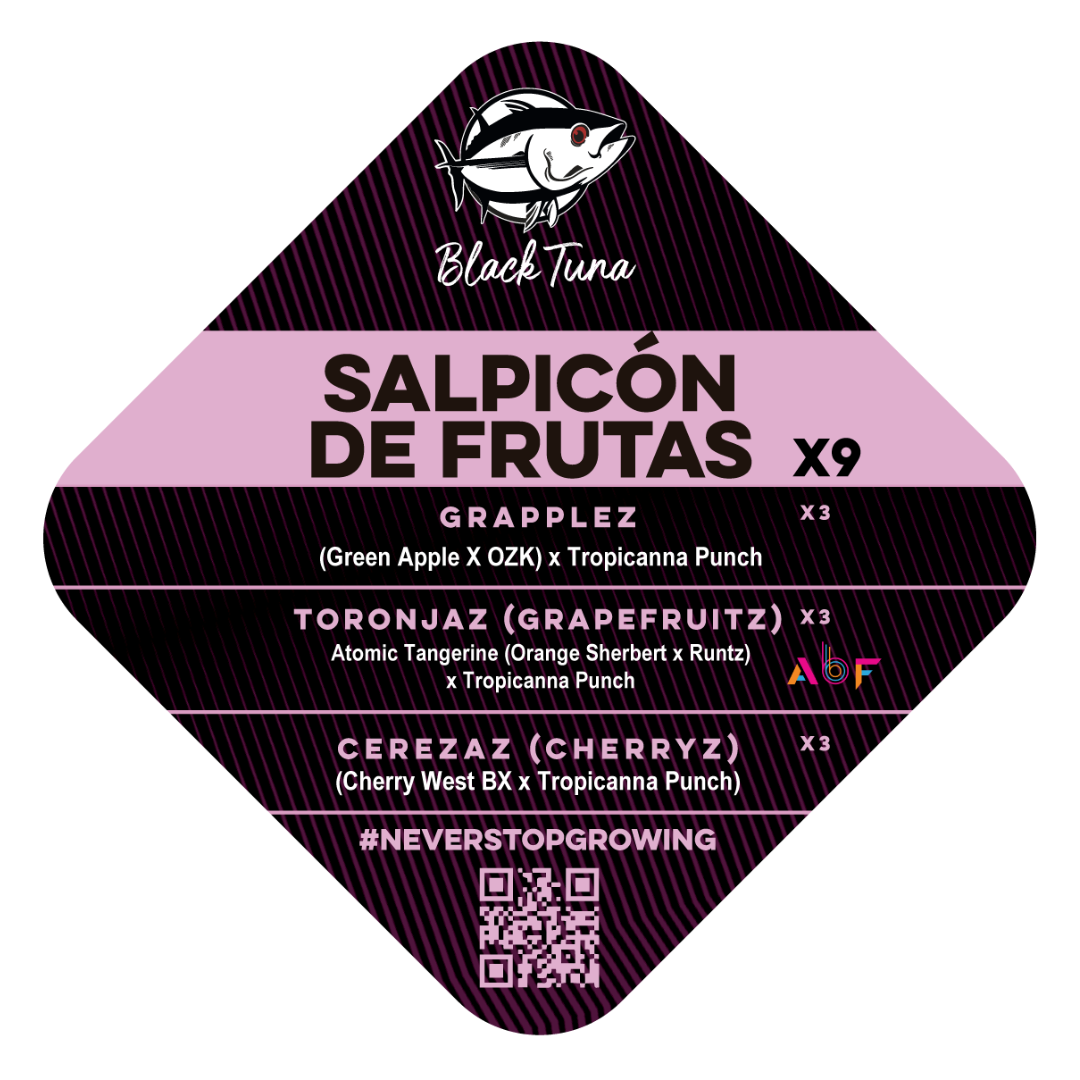 Popurrí: Salpicón de frutas - Black Tuna - Pack x 9