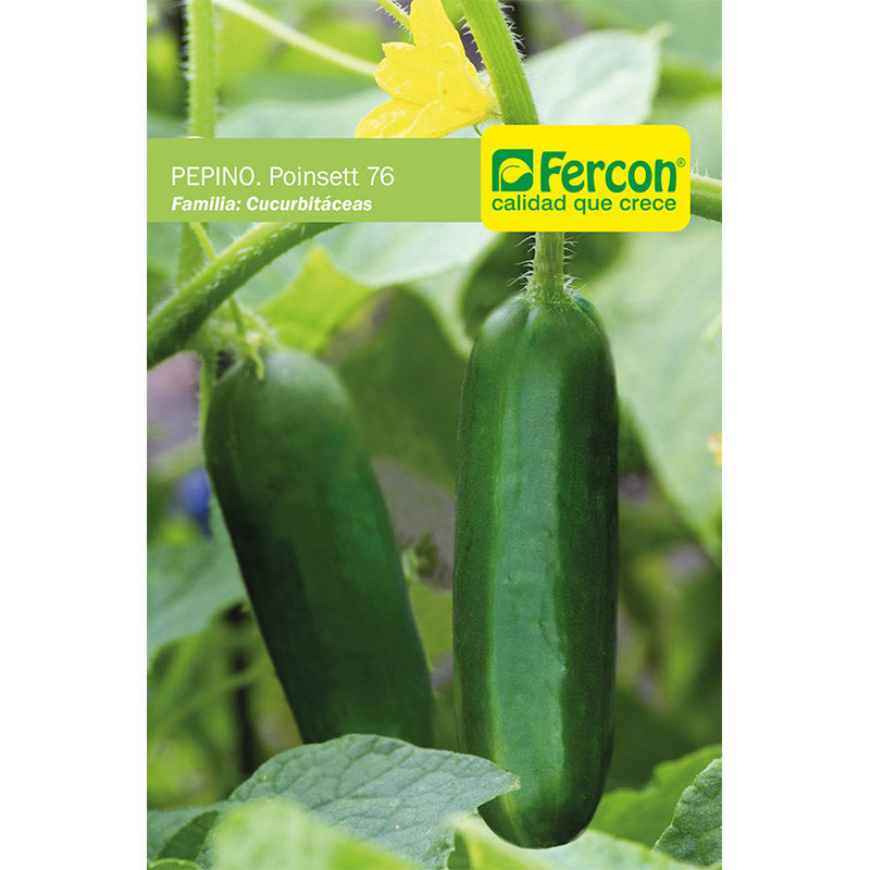 PEPINO. Poinsett 76 - Cucumis Sativus - Semillas de Fercón