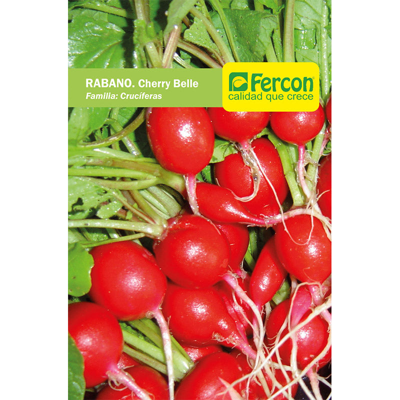 RÁBANO. Cherry Belle - Raphanus Sativus - Semillas de Fercón