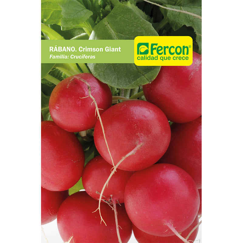 RÁBANO. Crimson Giant - Raphanus Sativus - Semillas de Fercón