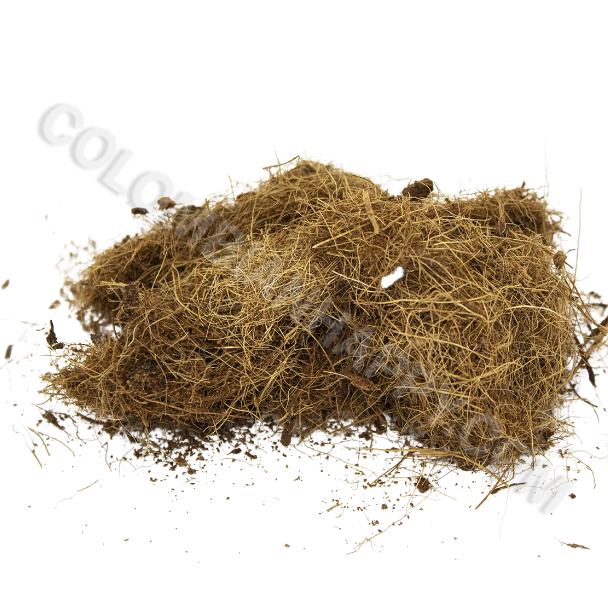 Fibra de coco peluda