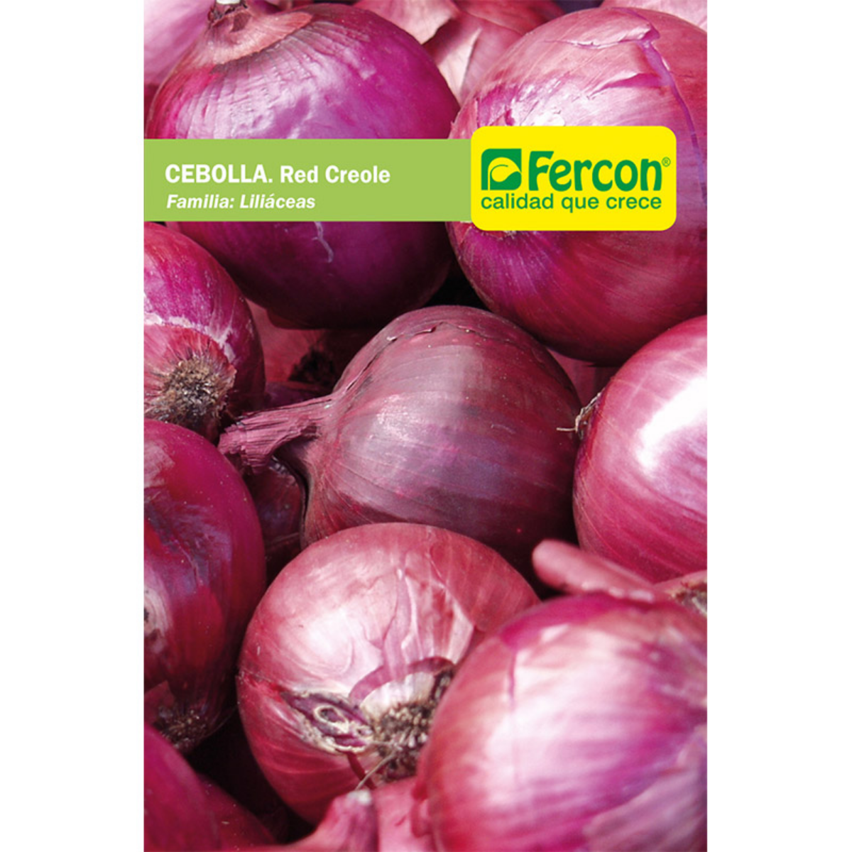 Originario de Asia central, es una de las hortalizas de consumo más antiguas, variedad de polinización abierta de bilbo rojo oscuro (morado), forma achatada-globosa, escamas gruesas y fuertes con buena capacidad de almacenamiento y sabor picante,