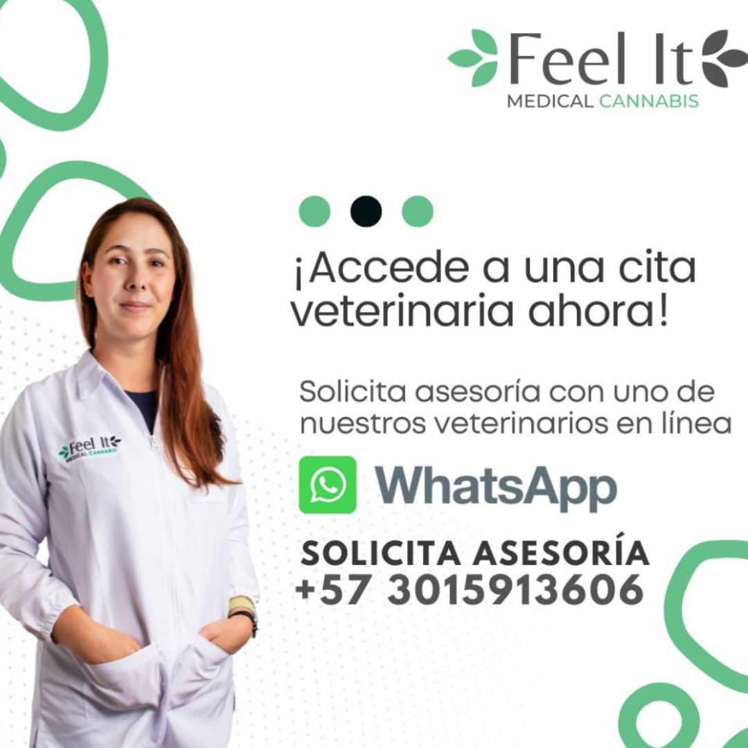 Afecciones en Mascotas que Pueden ser Tratadas con Cannabis Ataques epilépticos Problemas dermatológicos Ansiedad y estrés Falta de apetito Dolor Artritis