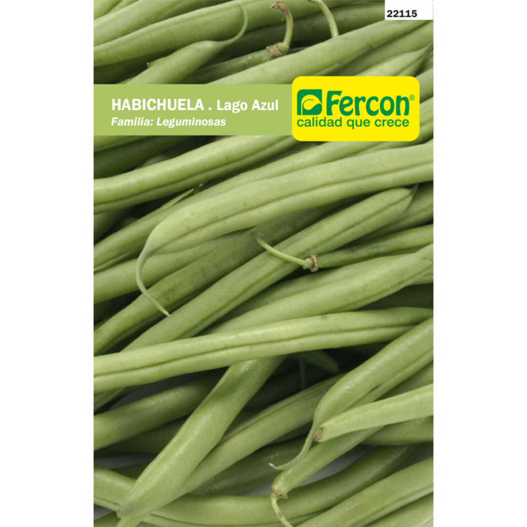 Leguminosa originaria del continente Americano, sus tallos son volubles y trepadores que llegan a medir hasta 4 metros por lo cual necesitan tutor.