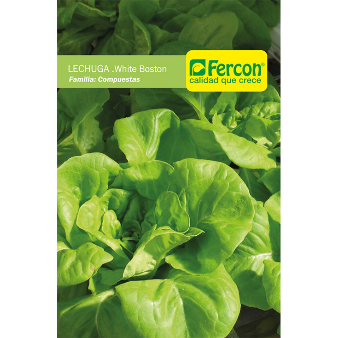 Hortaliza originaria de Asia. Este tipo de lechuga es de cabeza mediana, de color verde oscuro y hojas onduladas de consistencia suave. Se adapta a climas muy diversos. Aunque se adapta a todo tipo de suelo, prefiere las texturas franco arcillosas y franco arenosas que retengan la humedad y que sean bien drenadas.