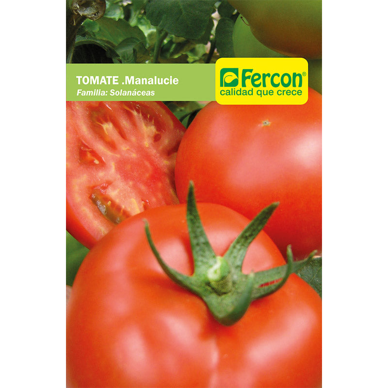 TOMATE. Manalucie - Lycopersicon Esculentum Mill - Semillas de Fercón