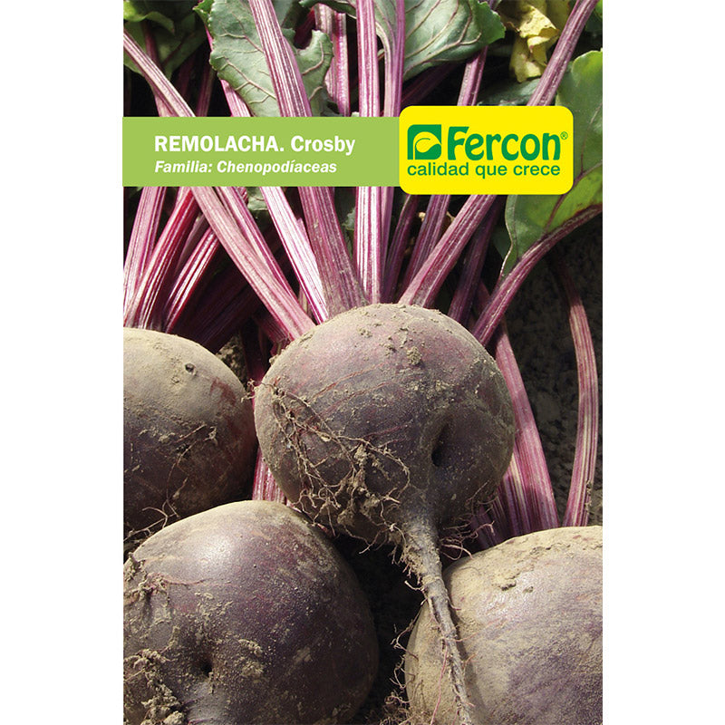 REMOLACHA. Crosby - Beta Vulgaris - Semillas de Fercón