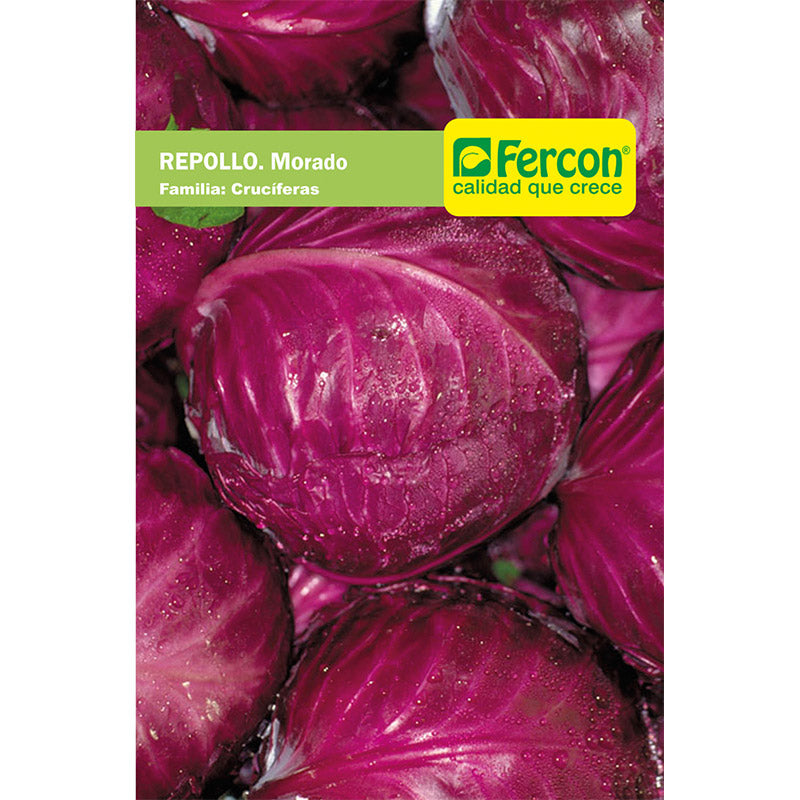 REPOLLO. Morado - Brassica Oleraceae - Semillas de Fercón