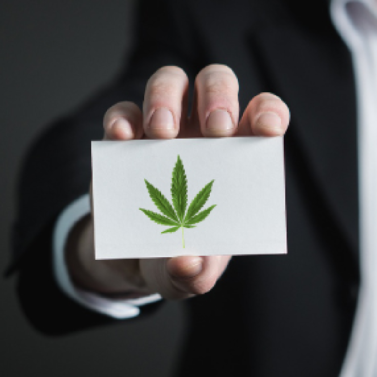 Asesoría licencias presencial