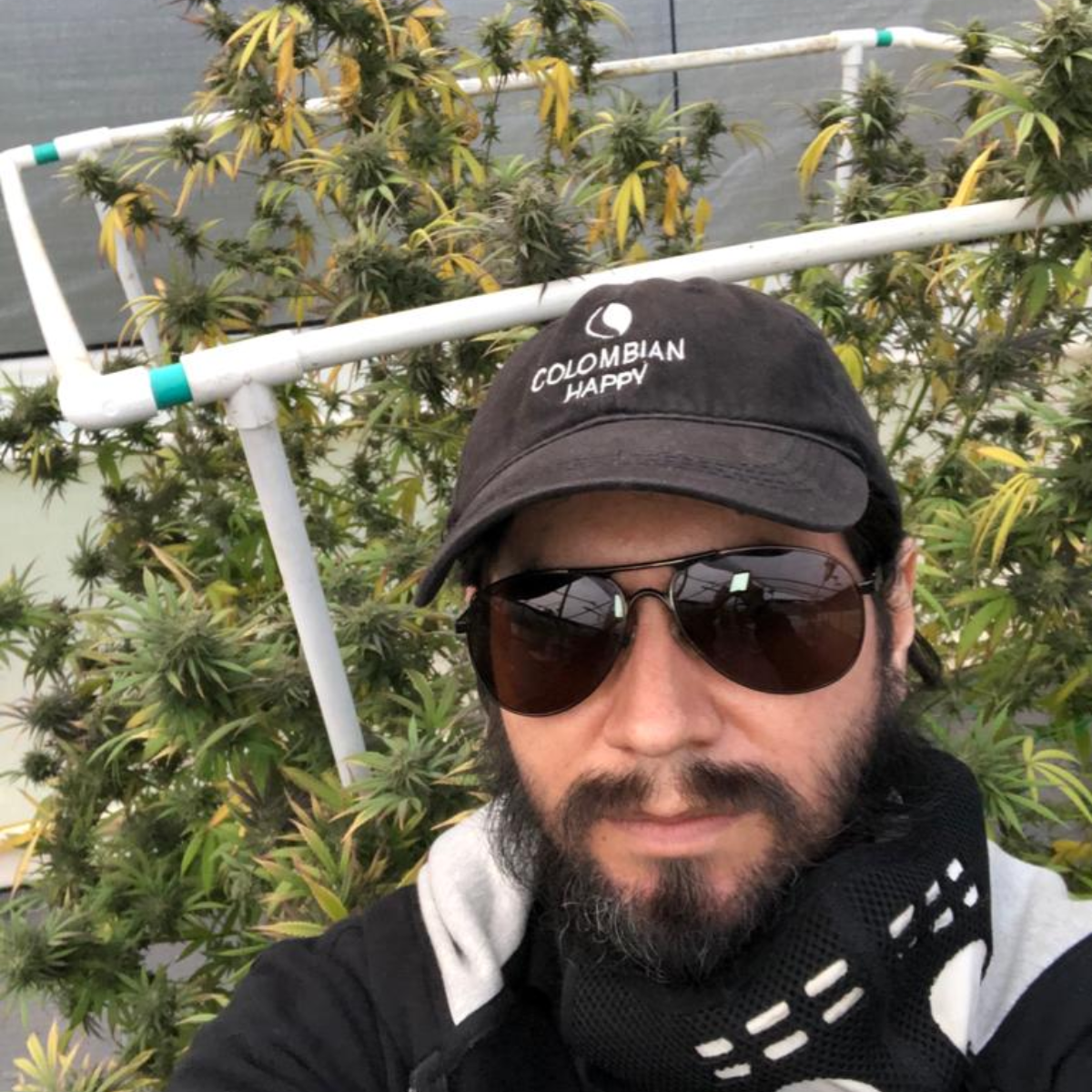 Asesoría PRESENCIAL de autocultivo con El Profe