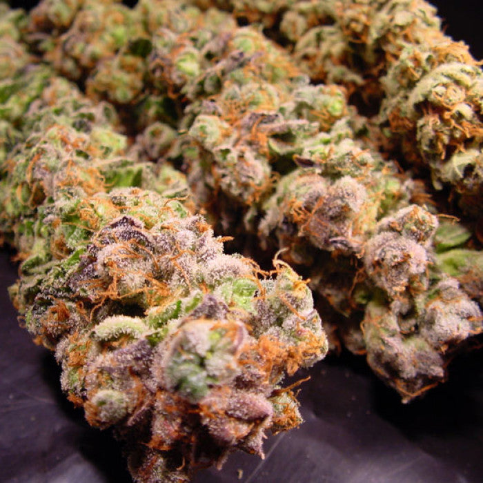 THC: 18-22% CBD: 0.1% 90% Indica 10% Sativa Tiempo: 56 días Efecto: Cuerpo, Relajación Sabor: Dulce, Perfume