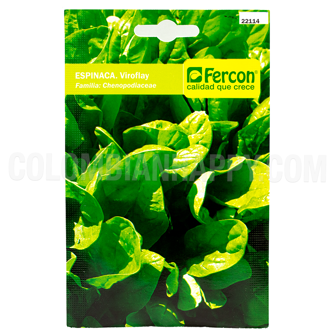 Originario de Centro y Norteamérica, se caracteriza porque los pétalos de su inflorescencia adoptan un vistoso color borgoña y puede alcanzar hasta 2.5 m de altura. A lo largo de su tallo se emiten hojas alternas de color verde oscuro que suelen ser grandes y largamente pecioladas.