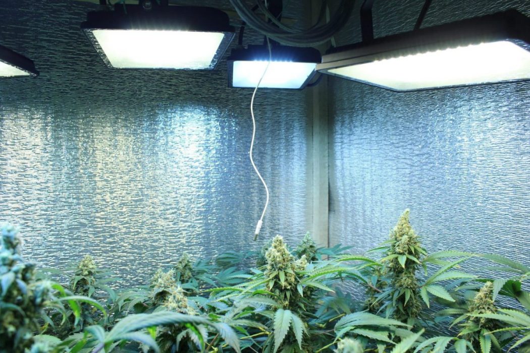 Reflector LED Tableta 50W