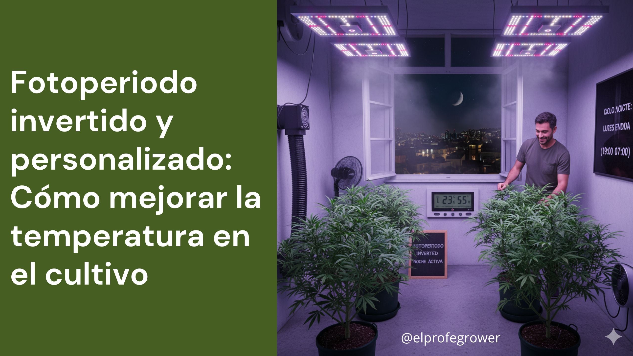 Fotoperiodo invertido y personalizado: Cómo mejorar la temperatura en el cultivo