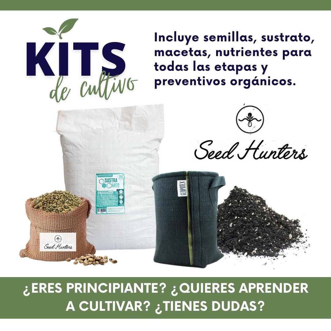 Kit Completo Principiantes 2 Plantas