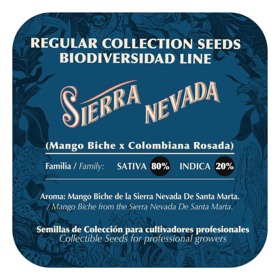 Sierra Nevada - Black Tuna - Pack x 10