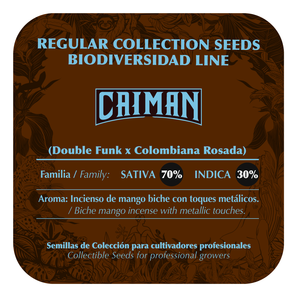 Caiman - Black Tuna - Pack x 10
