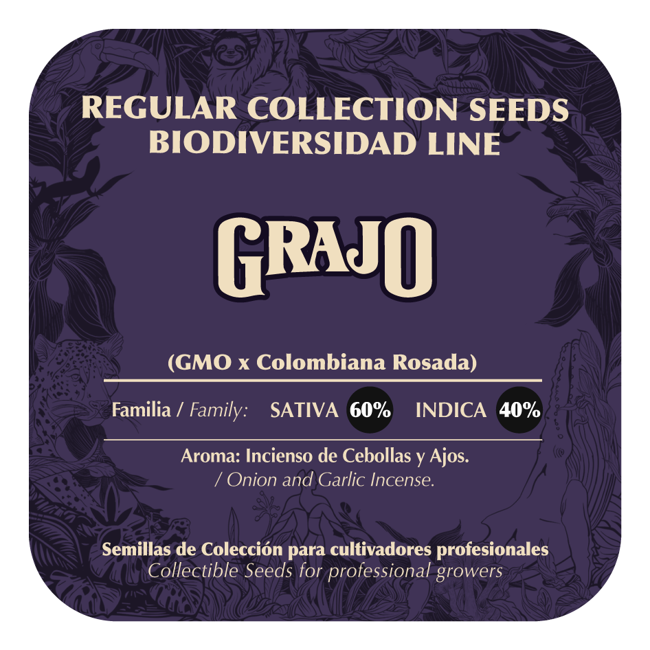 Grajo - Black Tuna - Pack x 10