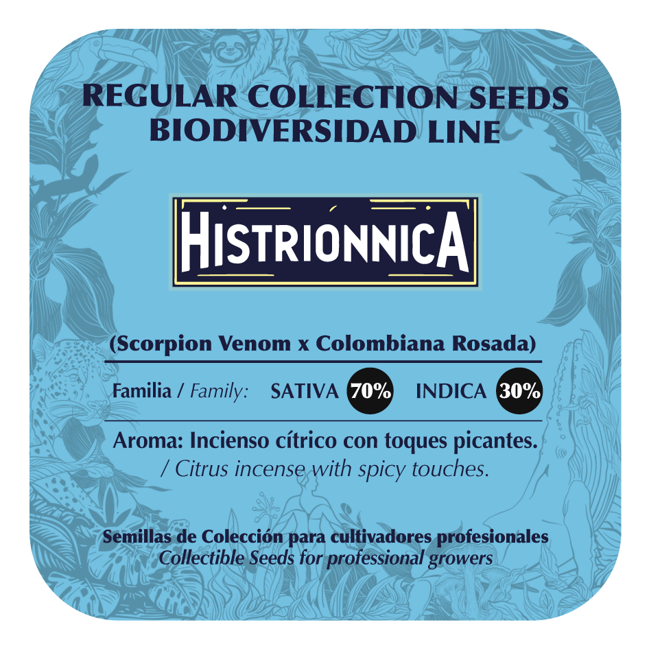 Histrionnica - Black Tuna - Pack x 10